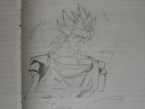 Goku SS3 short hair