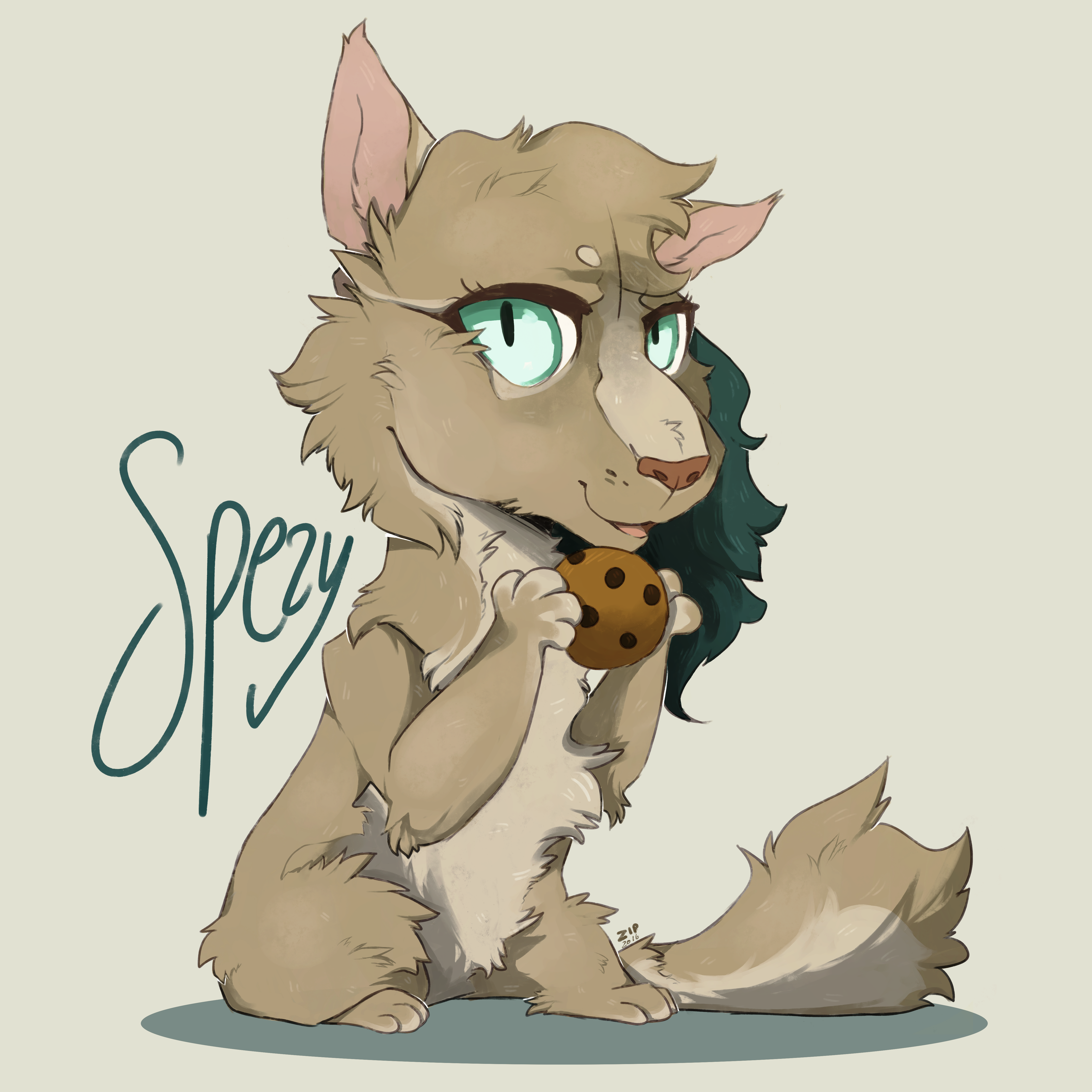 Spezyra the Cat :3