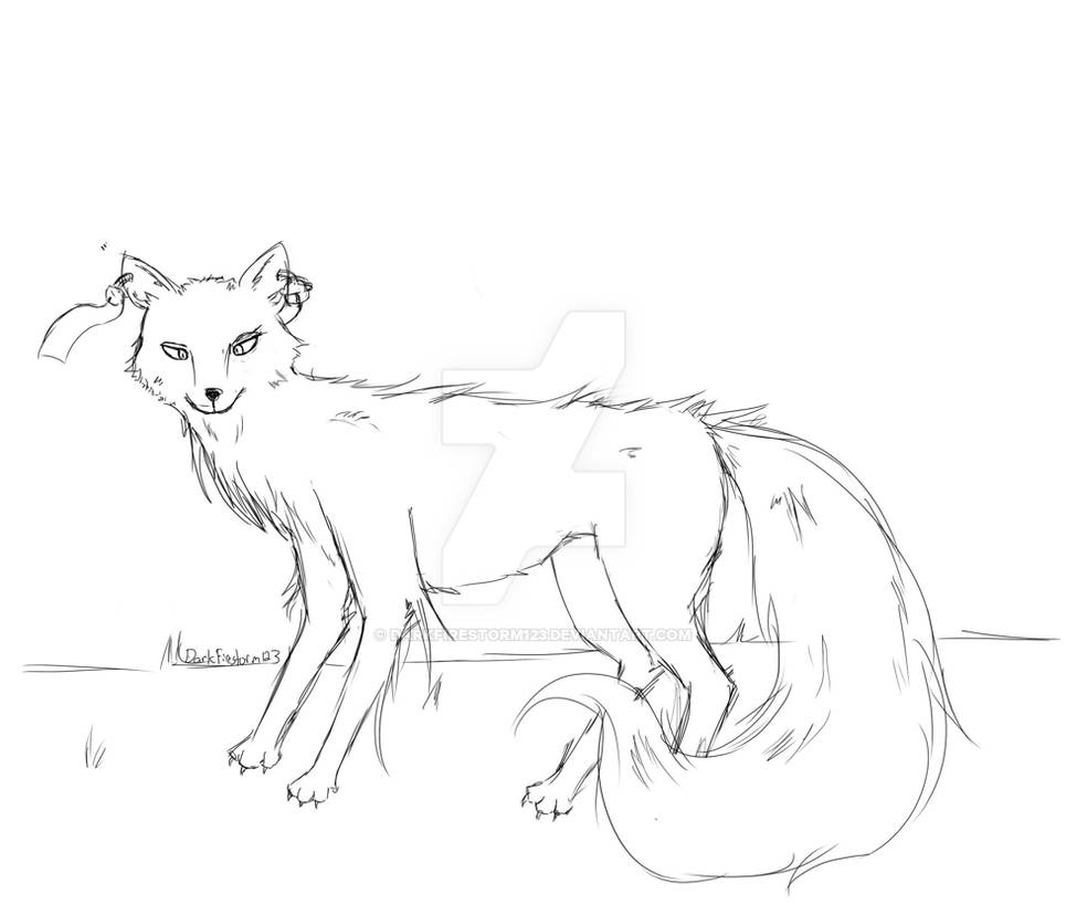 Fox Drawing Outline - Carinewbi