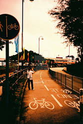 lomography 36