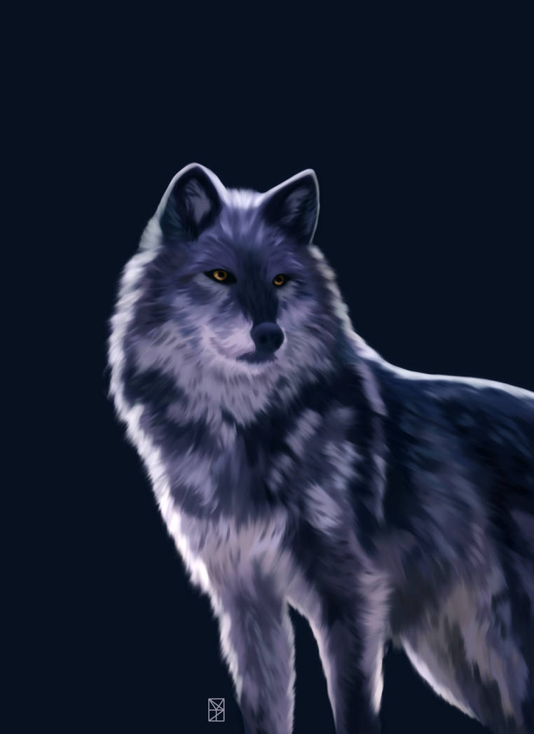 Wolf By HydeIllustration On DeviantArt