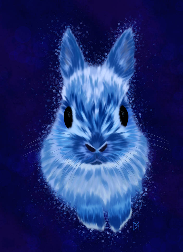 Blue Bunny by HydeIllustration on DeviantArt