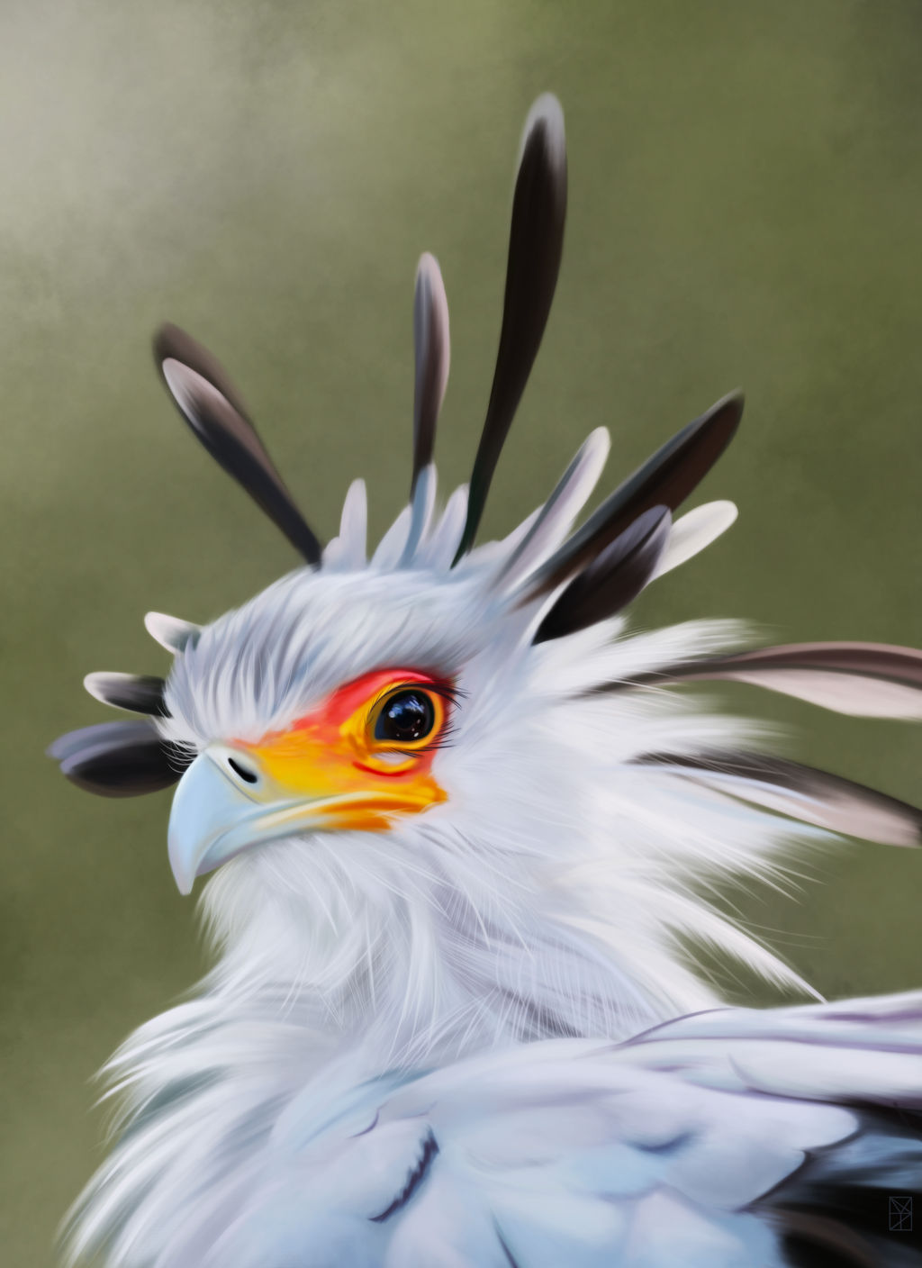 Secretary Bird Environment Secretary Bird by HydeIllustration on DeviantArt