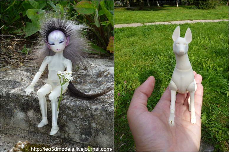 Nature bjd dog 01