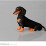 Dachshund 10