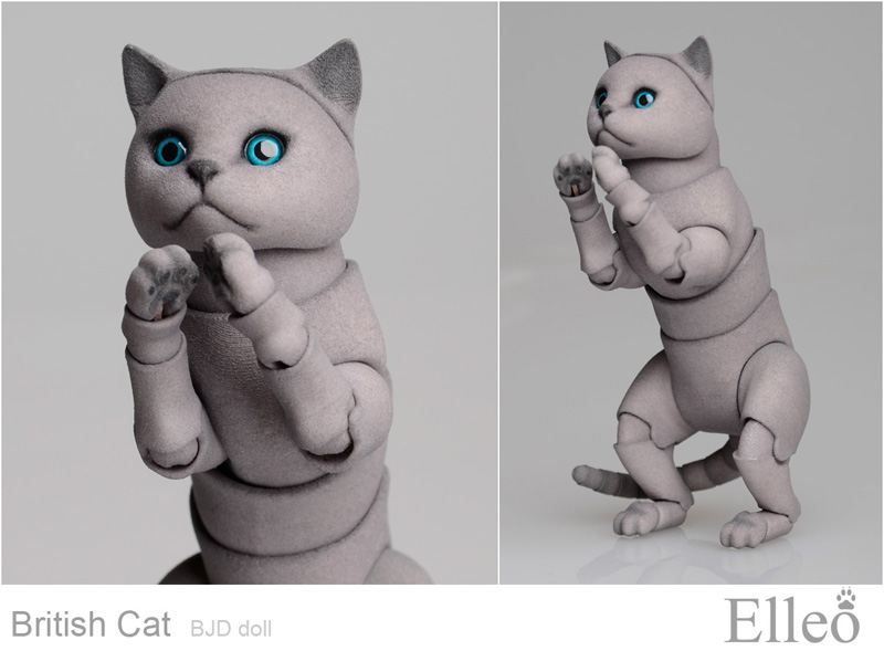 British cat bjd 04