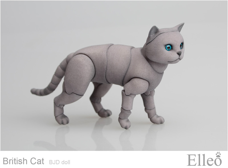 British cat bjd 08