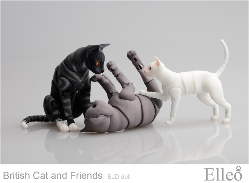 British cat bjd Friends01