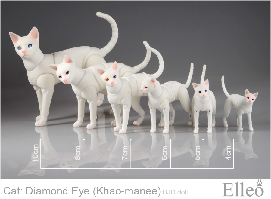 Khao-manee Cat Bjd 02