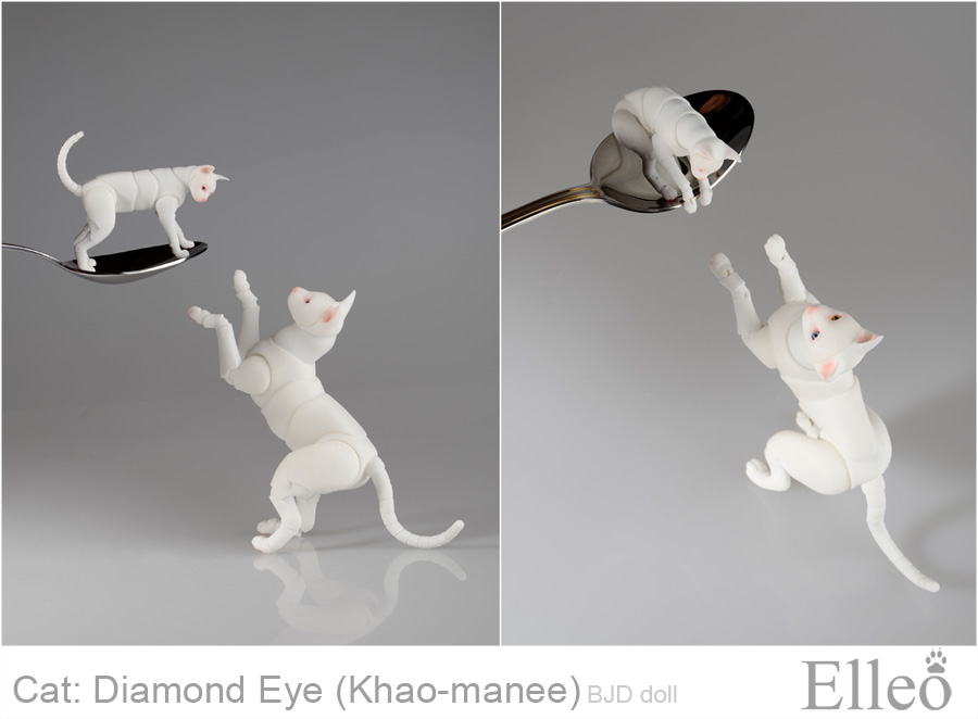 Khao-manee Cat Bjd 16