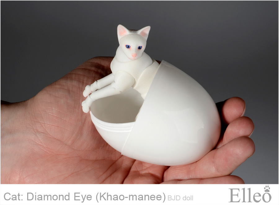 Khao-manee Cat Bjd 19