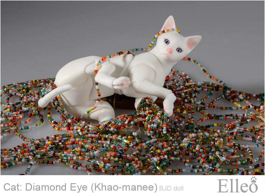 Khao-manee Cat Bjd 24