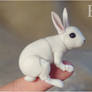 Bunny Bjd Doll 03