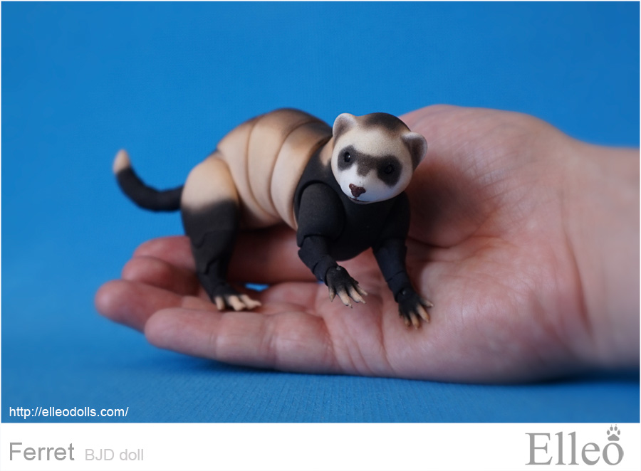 Bjd Ferret 12