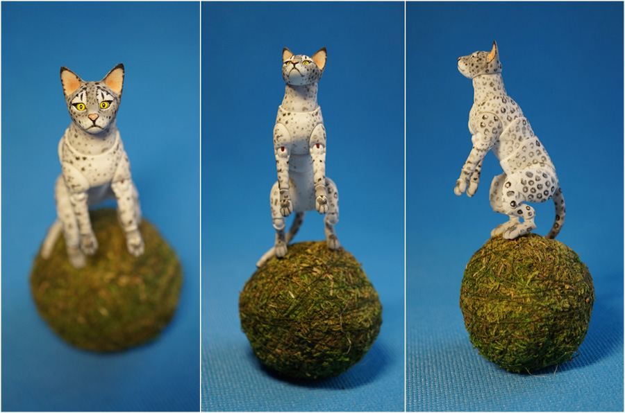 Spotted cat bjd pet 08