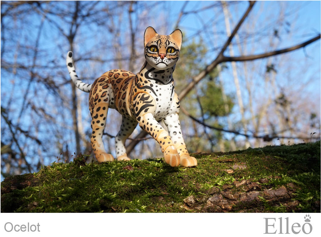 Ocelot Model Ocelot Wild Doll Cat 01 by leo3dmodels on DeviantArt