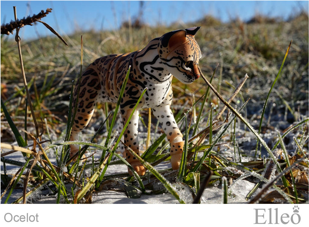 Ocelot Model Ocelot Wild Doll Cat 04 by leo3dmodels on DeviantArt