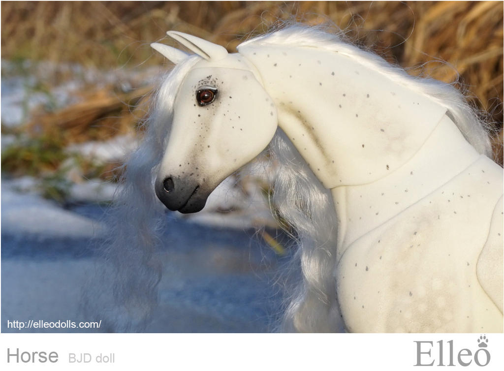 Horse bjd doll 01