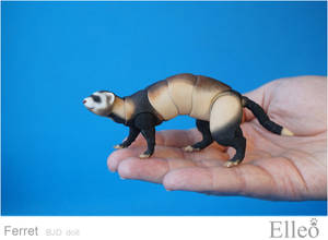 Ferret Bjd Doll 03