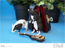 Rat bjd doll elleo pet 11