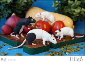 Rat bjd doll elleo pet 01