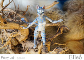 Furry Cat doll bjd 02