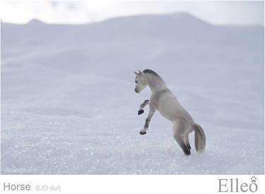 Horse bjd doll 09