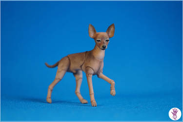 Toy Terrier 3dprint Dogt Bjd Doll 02