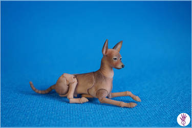 Toy Terrier 3dprint Dogt Bjd Doll 03