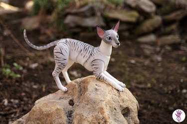 Oriental cat bjd doll 06