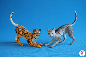 Cat Bjd Doll Tabbi 05