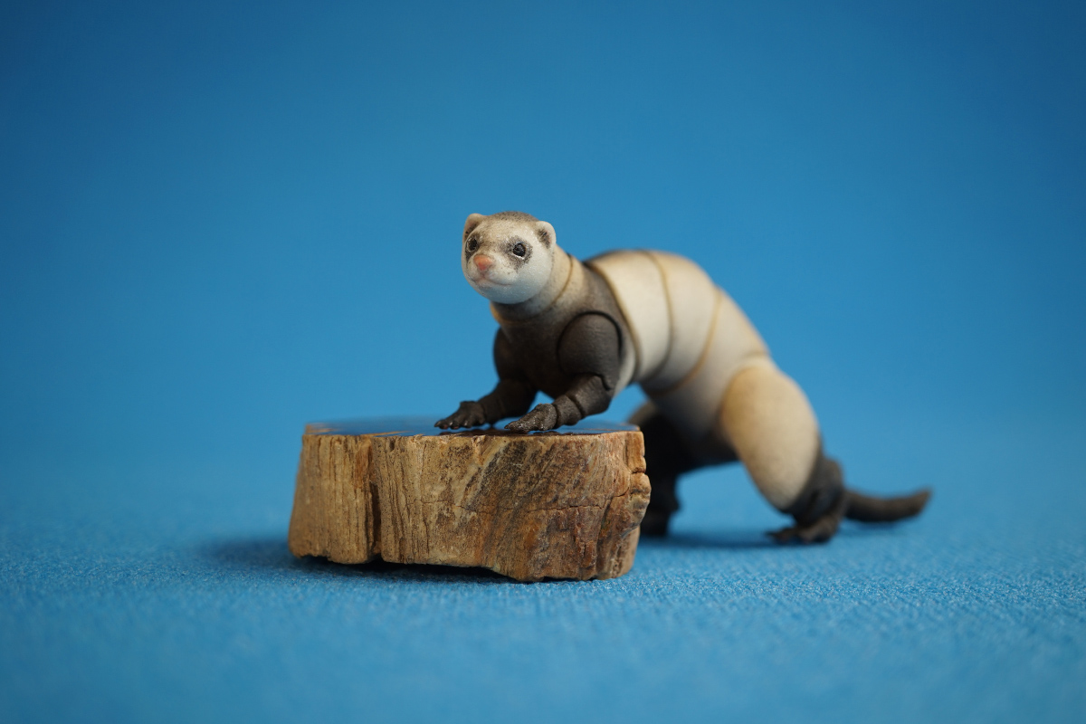 Ferret bjd doll 10