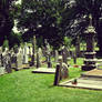 Cemetery of Ireland