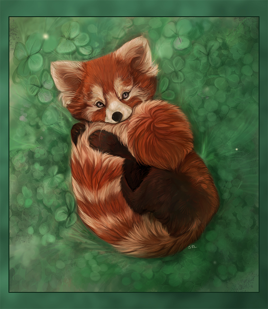 SOP entry-Red Panda by daisy7 on DeviantArt