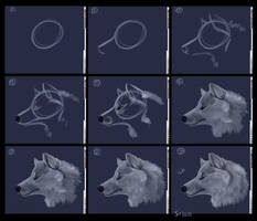 OC tutoral for Wolf Profiles