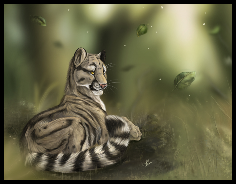 Clouded Leopard fini by daisy7