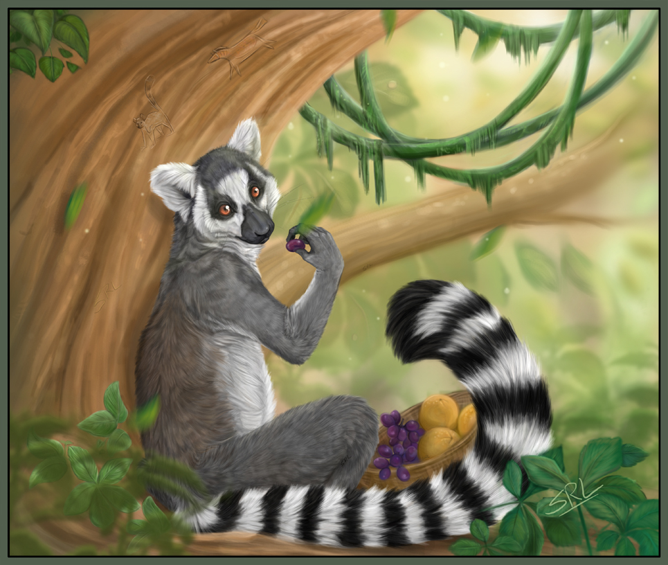 Ring-Tailed Lemur