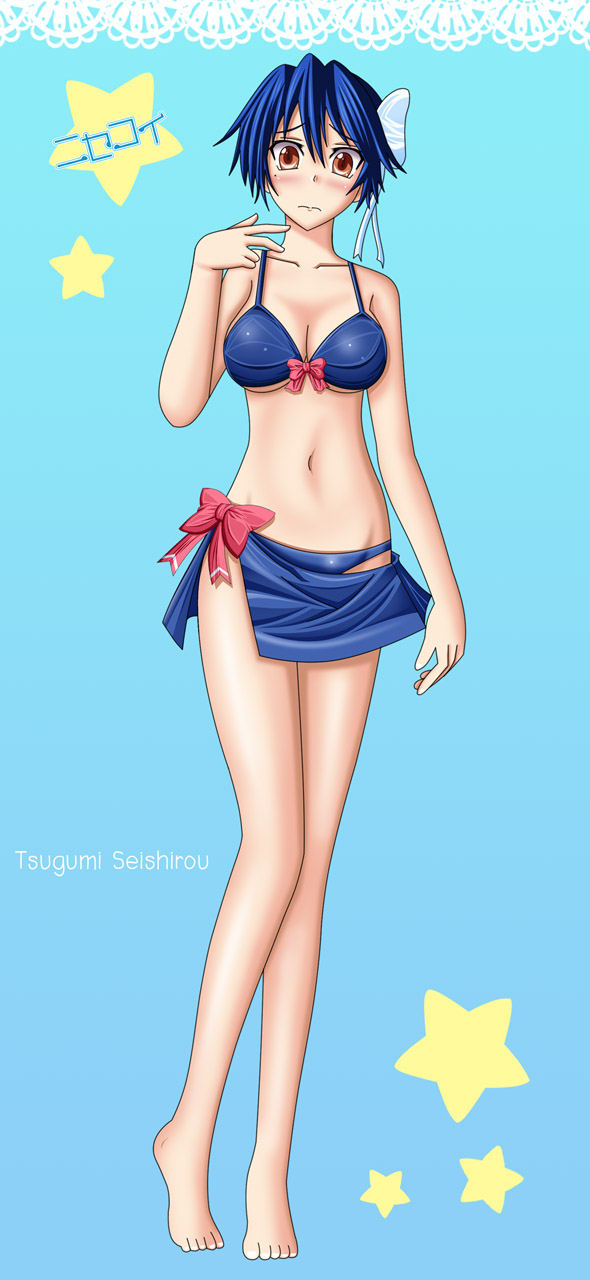 Nisekoi : Seishirou Tsugumi