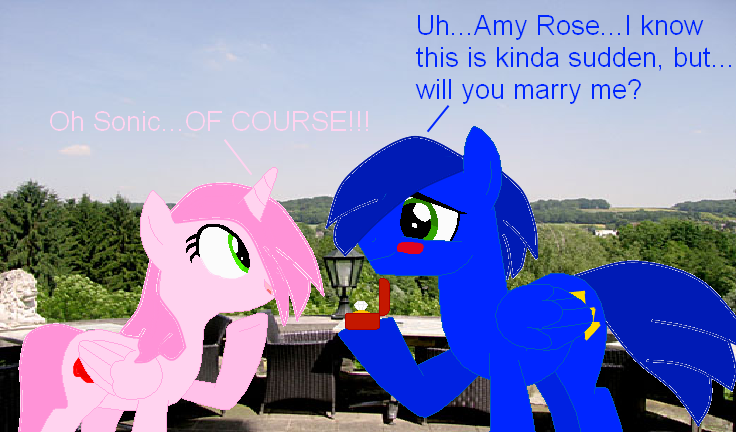 MLP Sonamy Proposal