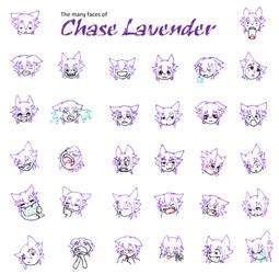 Chase Lavender Headshots