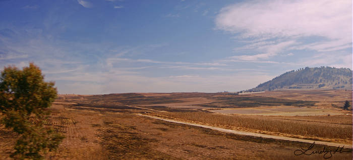 Dry Countryside