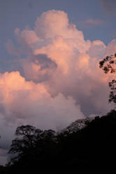 Sunset above the rainforest