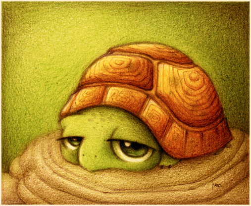 Tortuga.