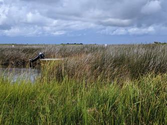 Abandoned Boat