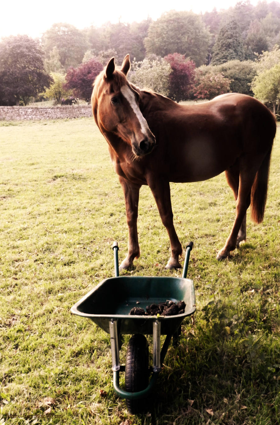 Let's do some Gardening!