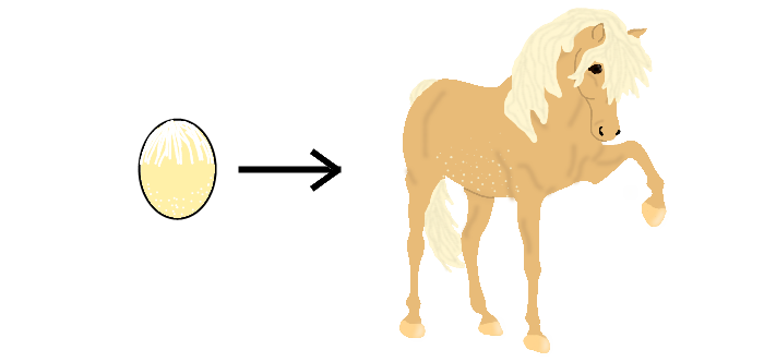 Horses from Eggs Six