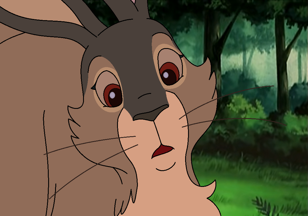 Dear Rabbit Animation Rabbits on AnimatedAnimals - DeviantArt