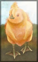 Torchic