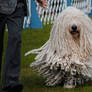 The Giant Mop Dog