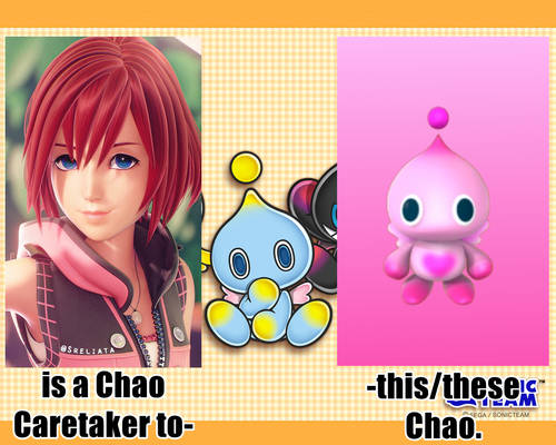 Kairi's Chao Friend